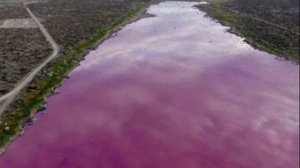 Una laguna se tiñó de rosa en Chubut por desechos industriales