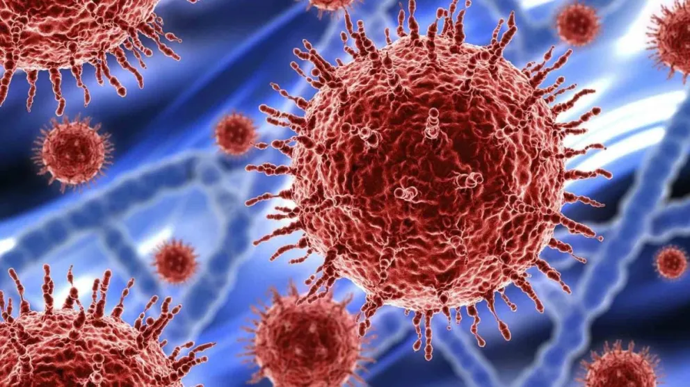 Coronavirus en Argentina: registraron 11.136 nuevos casos y 225 muertes