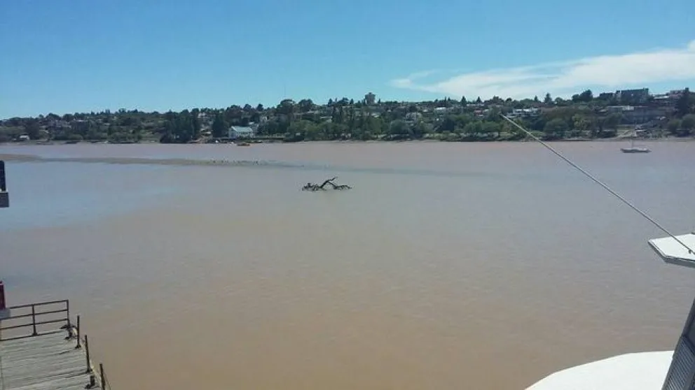 Como con el Paraná, declaran la emergencia hídrica del río Negro