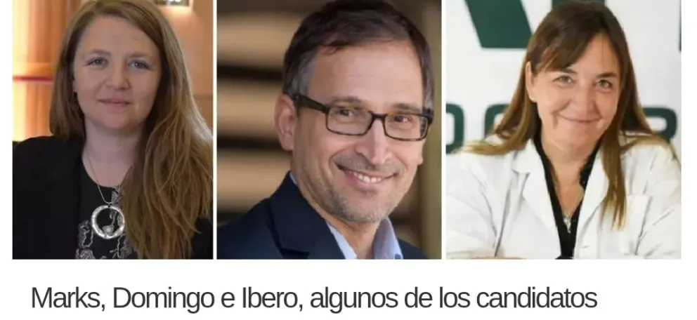 Candidatos rionegrinos con cargos públicos: ¿renunciarán?
