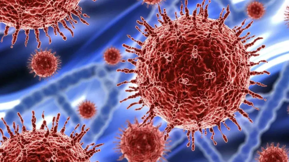 Coronavirus en Argentina: registraron 10.356 nuevos casos y 135 muertes