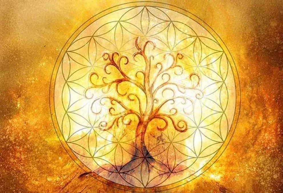 Conocé el horóscopo Celta: ¿cuál es tu signo y qué árbol te representa?