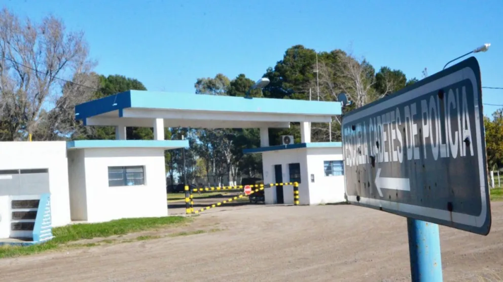 Se llevan un caballo, el propietario lo reclama pero “está flojo de papeles”