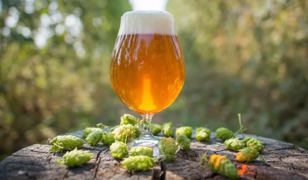 ¿Qué es el IPA DAY y por qué se celebra?