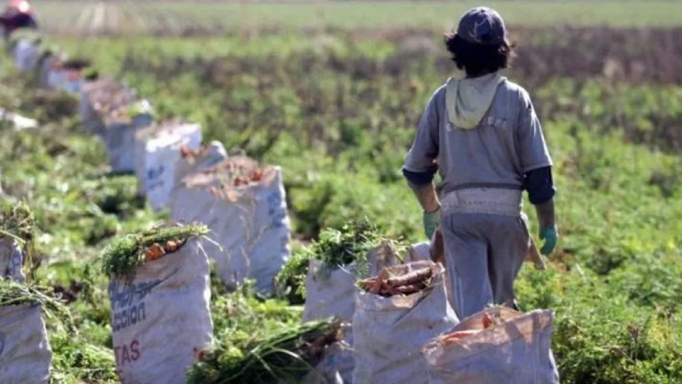 El trabajo infantil, y la aguja en un pajar