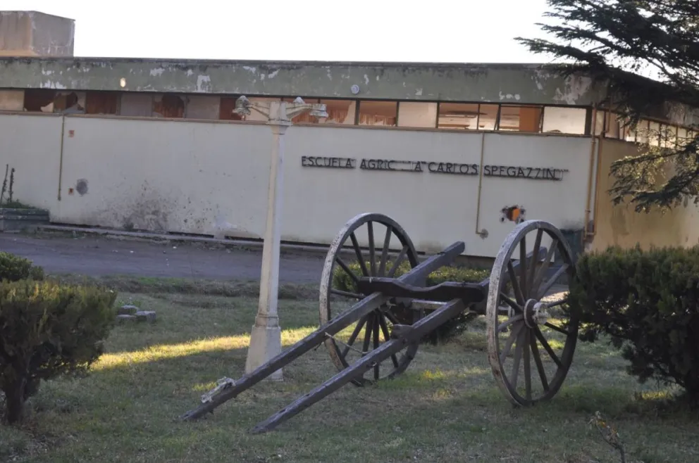 Escuela Spegazzini: Ahora, los rounds se dirimirán en la justicia