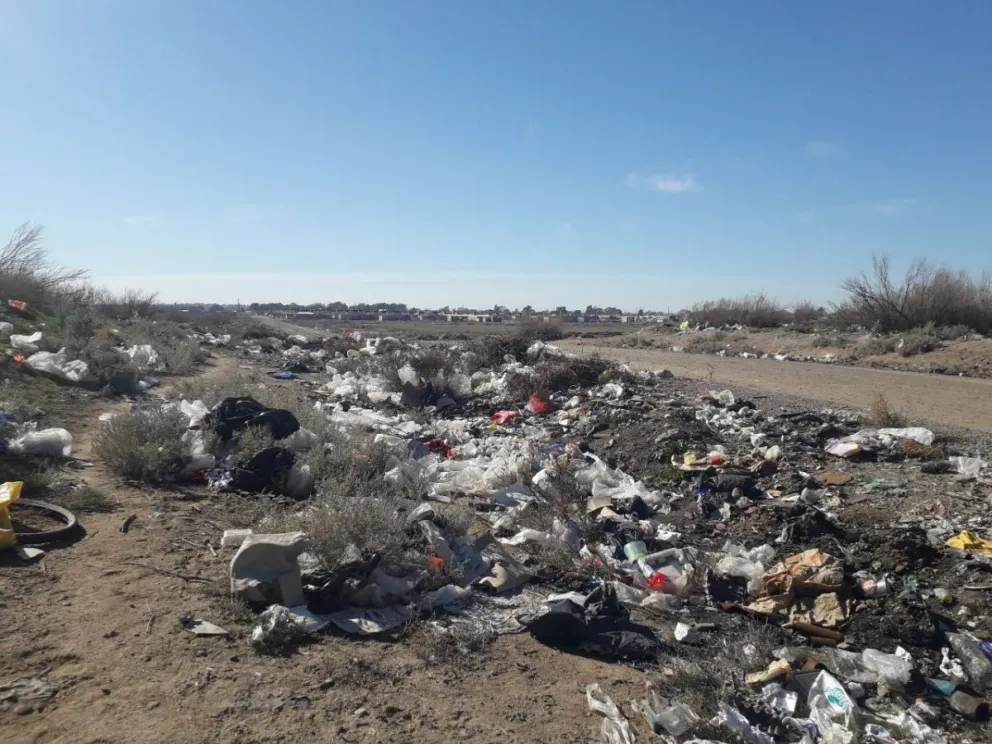 Gigantesco basural clandestino prolifera en las afueras de la ciudad