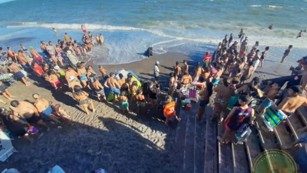 Telenovela faunística: Desaparece un lobo marino, y Ambiente va a la Justicia