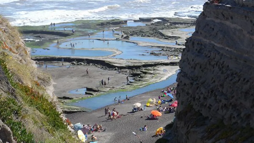 Telenovela faunística II: Identifican a quienes llevaron el lobito a Bahía