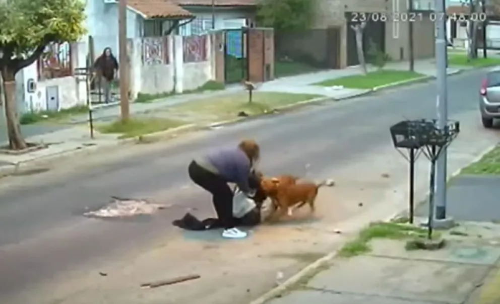 Video: feroz ataque de tres perros a una mujer que caminaba por la calle