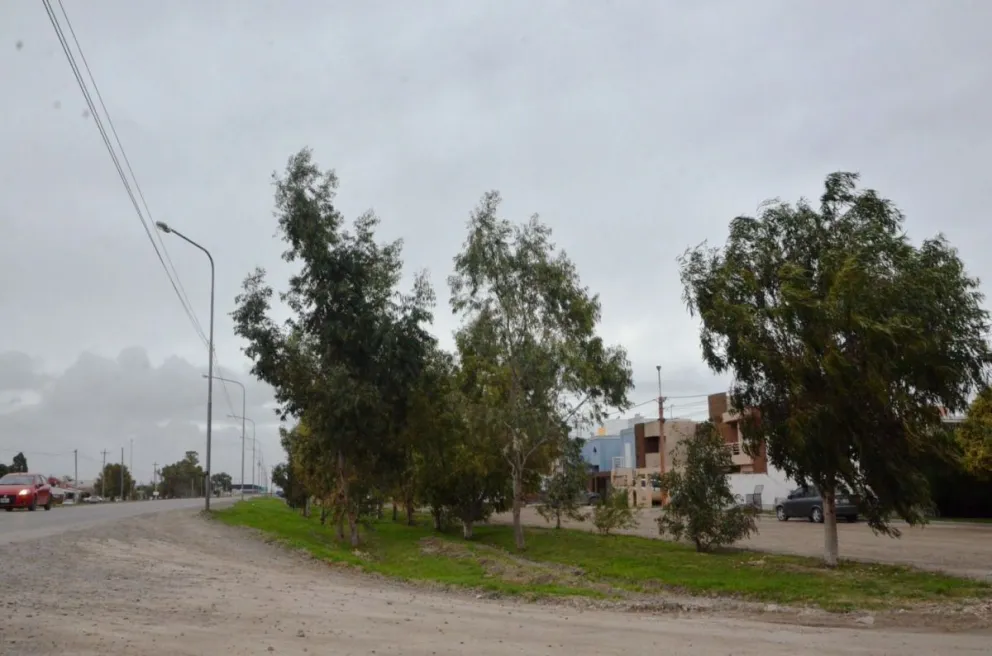 Alerta por fuertes vientos en Viedma: se esperan ráfagas de 100 km/h