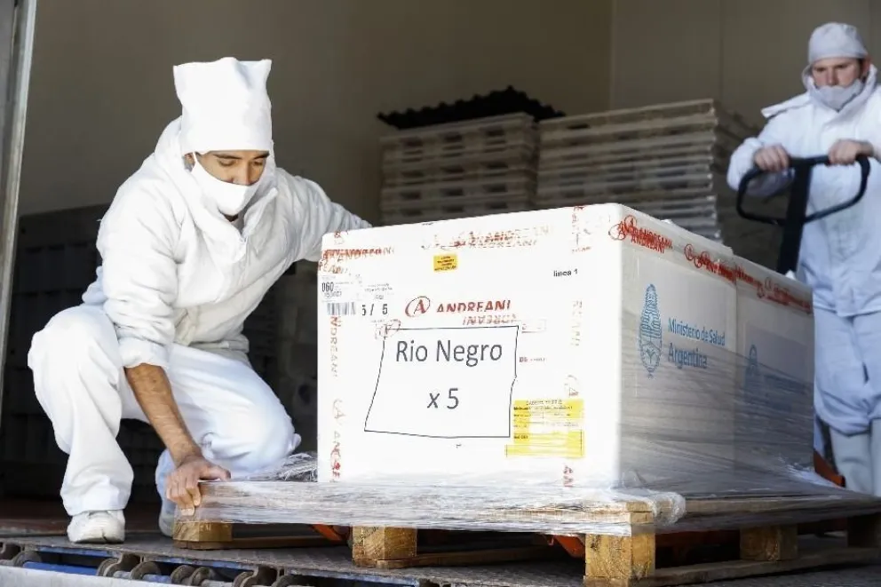 Río Negro recibe 9.750 y 8.200 dosis de Sputnik, primer y segundo componente, y 24.800 de Sinopharm