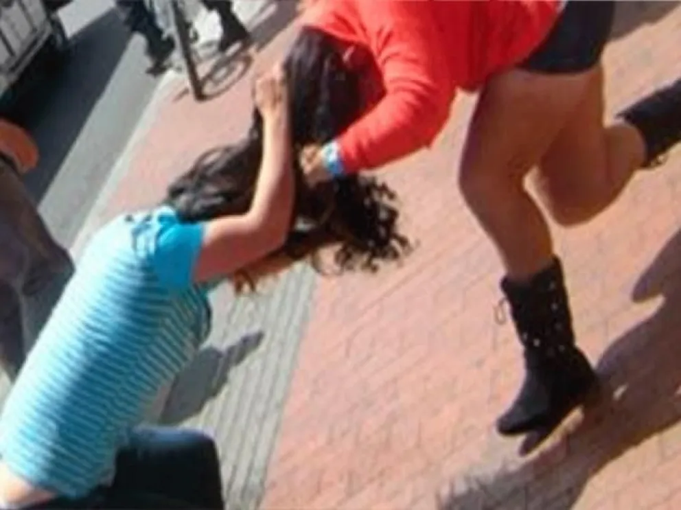 Dos mujeres se pelearon por un gato