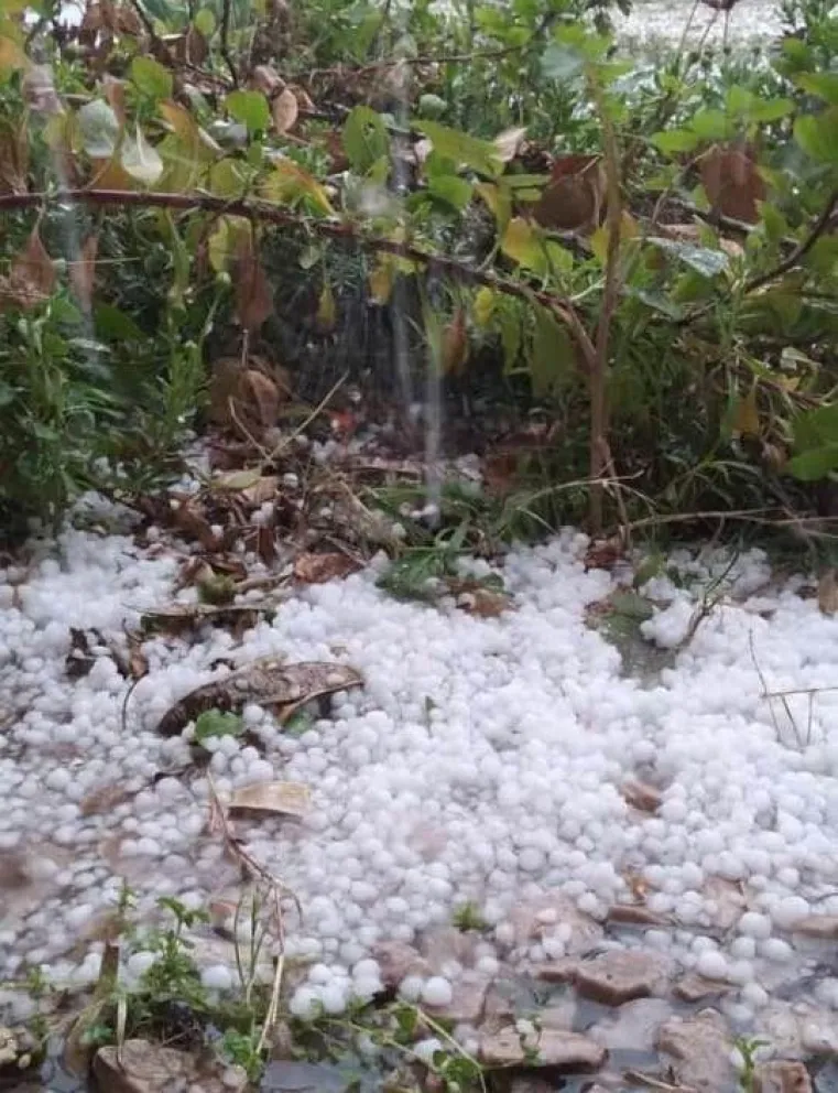 Una tormenta de granizo sorprendió a los habitantes de Juan A Pradere