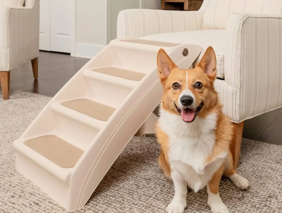 Consejos fáciles y útiles para limpiar tu casa si vives con mascotas