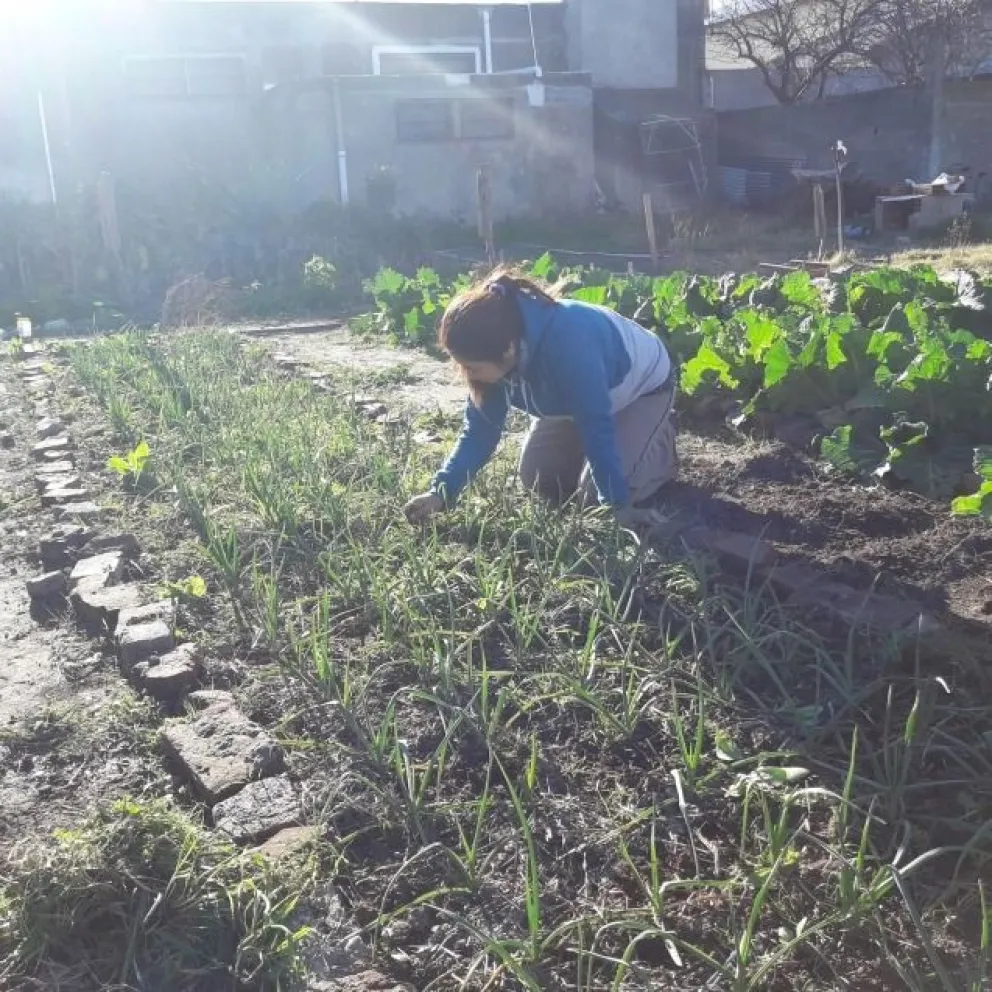 Cuando la basura deja de ser tal, y nada se pierde, todo se transforma