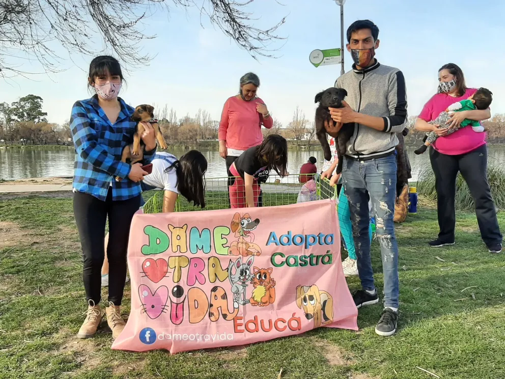 Proteccionistas venden rifas y empanadas para darle tránsito a perros callejeros