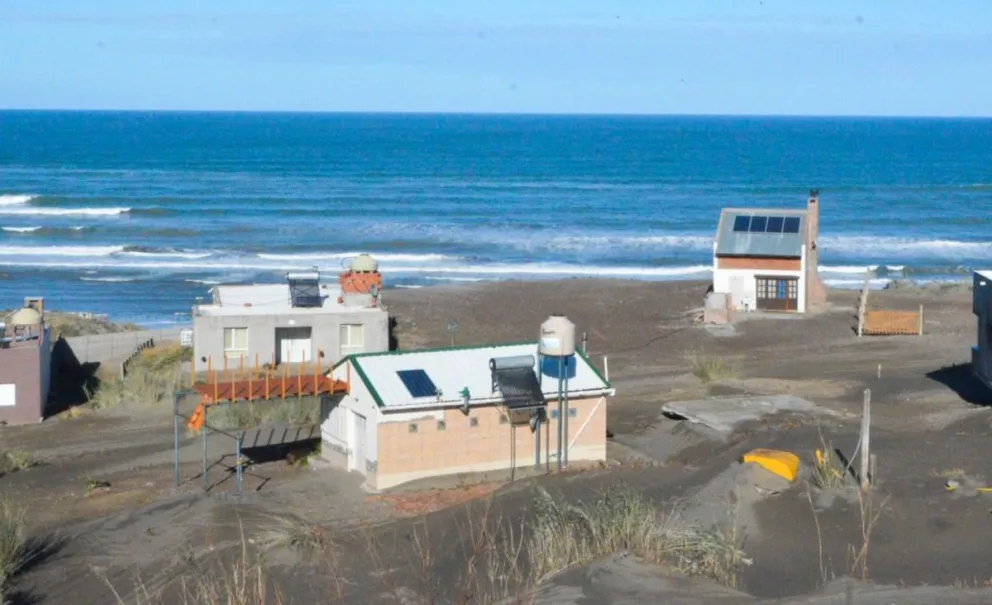Médanos de Bahía Creek: “la solución va a venir de la forestación”