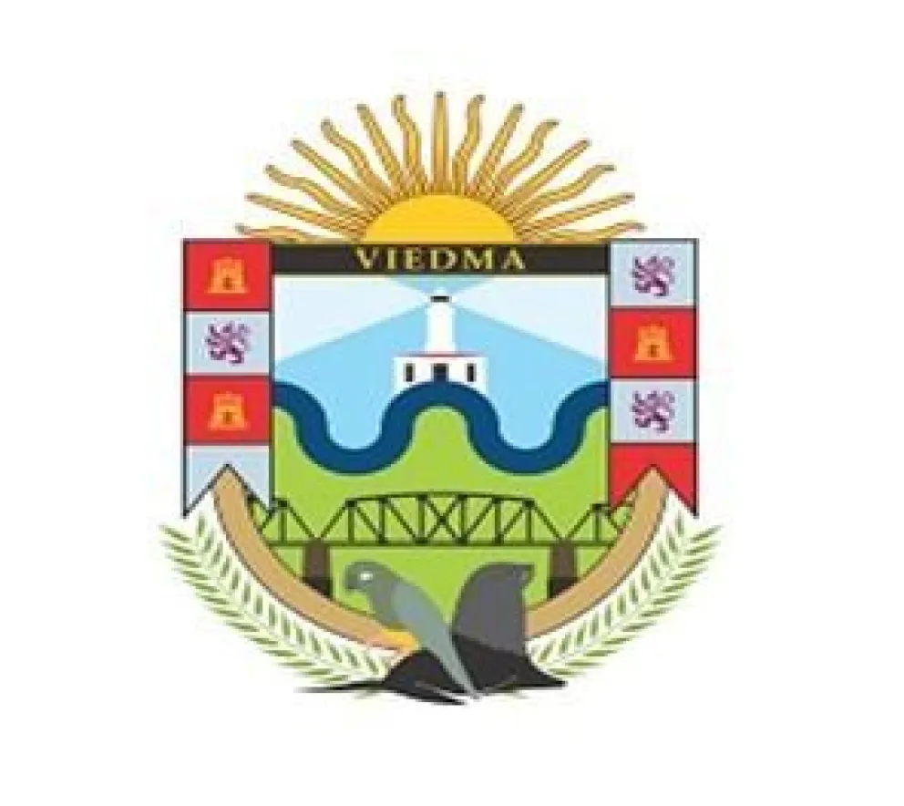 MUNICIPALIDAD DE VIEDMA - LICITACIÓN PÚBLICA Nº 33/2021