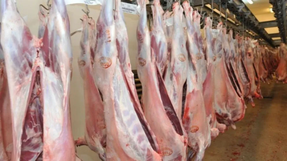 Exportación: piden autorizar las ventas al exterior de carne vacuna patagónica