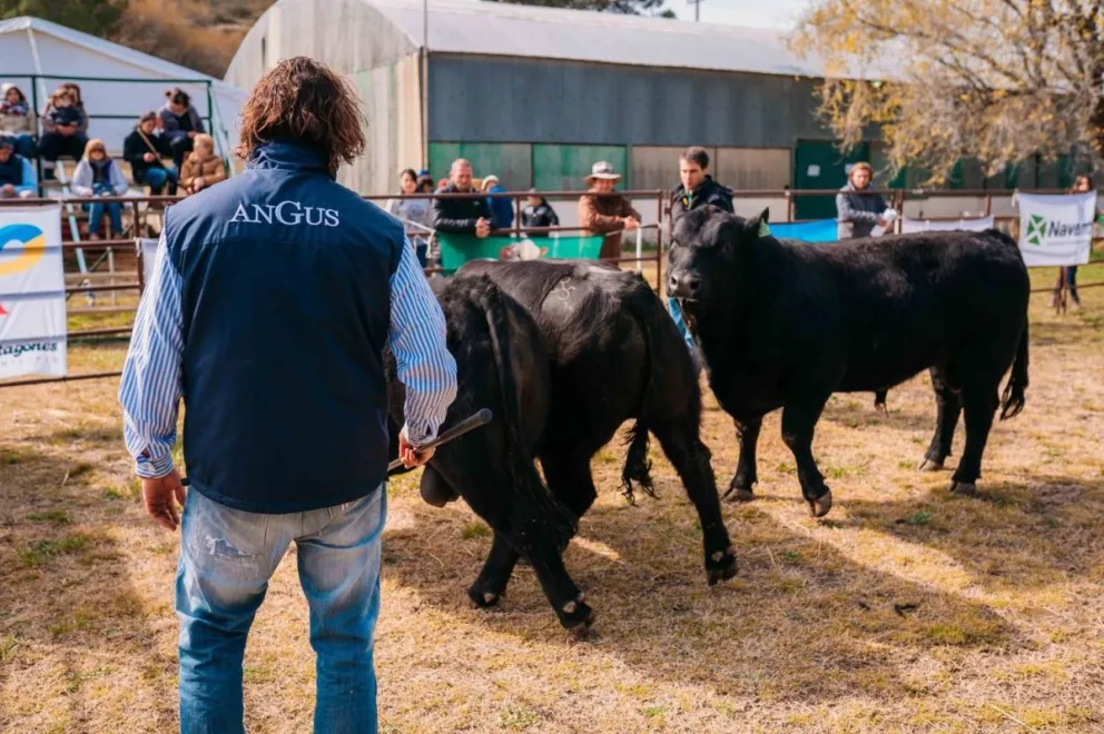 Comenzó la Expo Rural y “hay muchas expectativas para lo que se viene”
