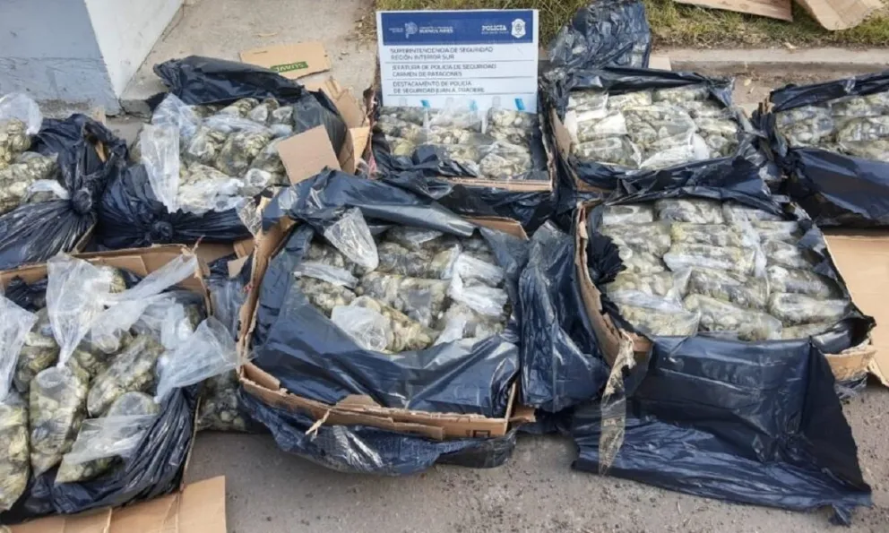 Llevaba casi 250 kilos de ostras en bolsas de residuos