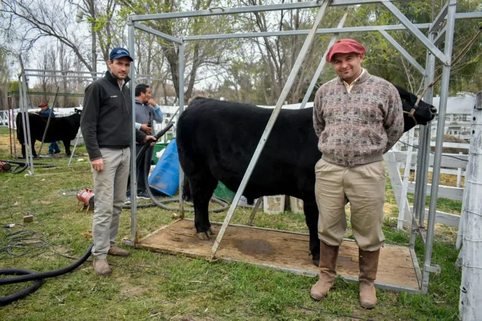 Con juras presenciales y buen clima, se vivió otra jornada de la Expo Rural