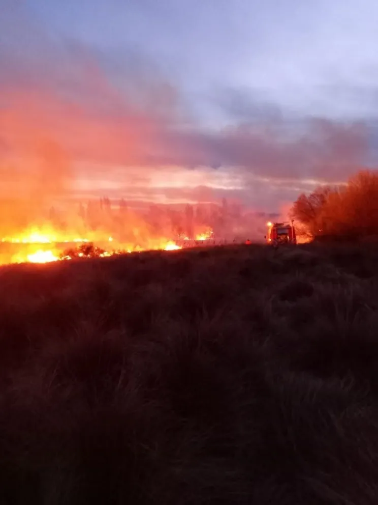 Una quema de limpieza en una isla se descontroló y casi afectó a una vivienda