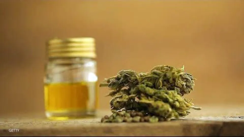Taller gratuito sobre preparación de aceites de cannabis
