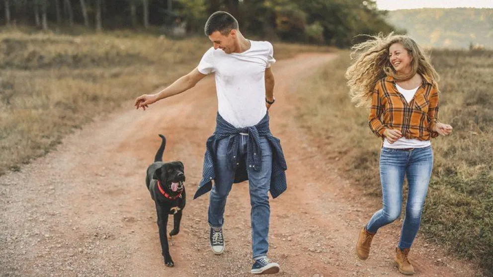 Se acabó el misterio: ¿Por qué los perros nos siguen a todos lados?