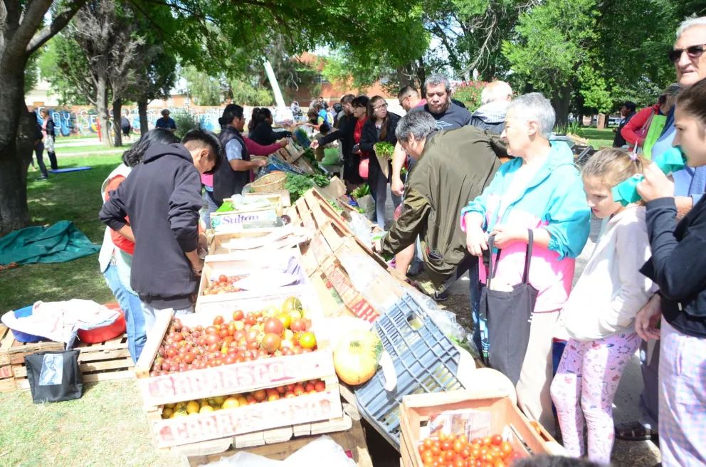 En homenaje a los inmigrantes, reabre este jueves la feria agroecológica