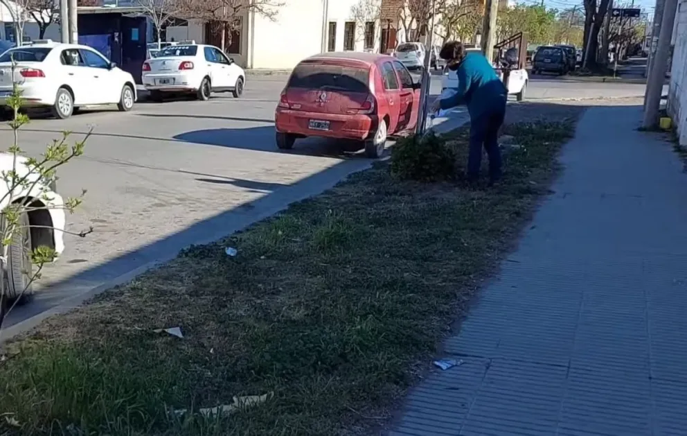 Pequeños gestos: una taxista riega las plantas de una cuadra todos los días