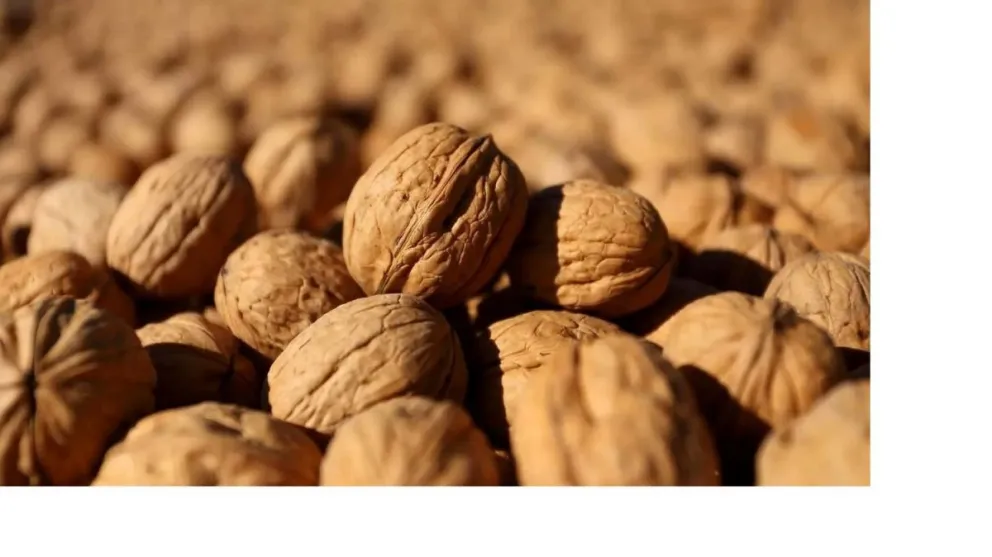 Vuelve  la promoción de los frutos secos con la 7° edición de la fiesta