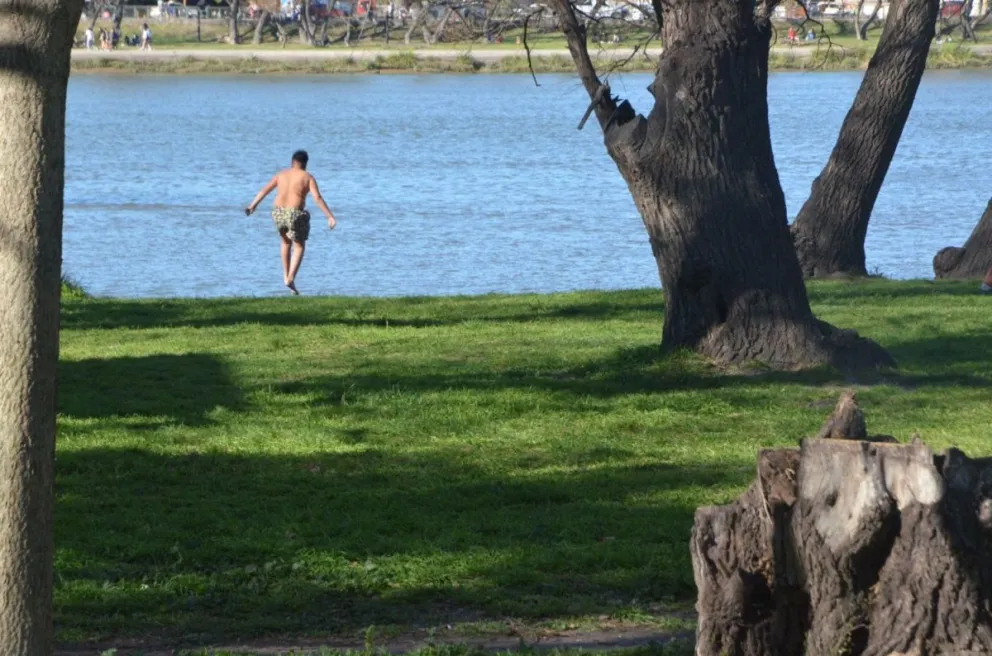 Viedma y Patagones celebraron la llegada de la primavera
