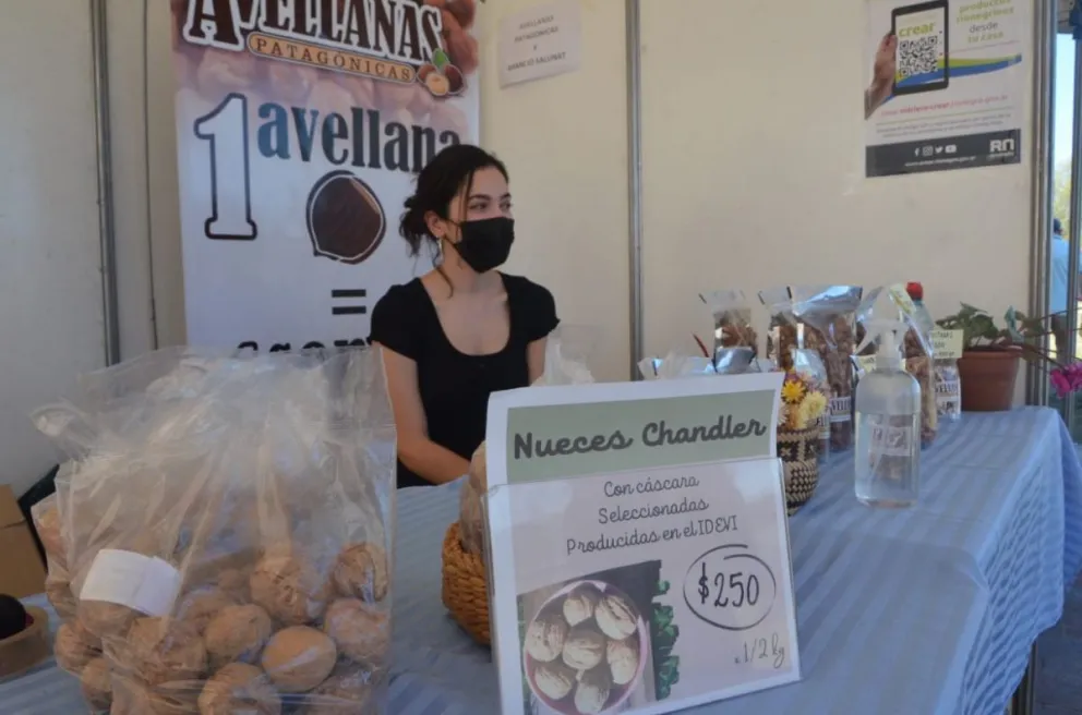 ¿Cómo sigue hoy la Fiesta de los Frutos Secos?