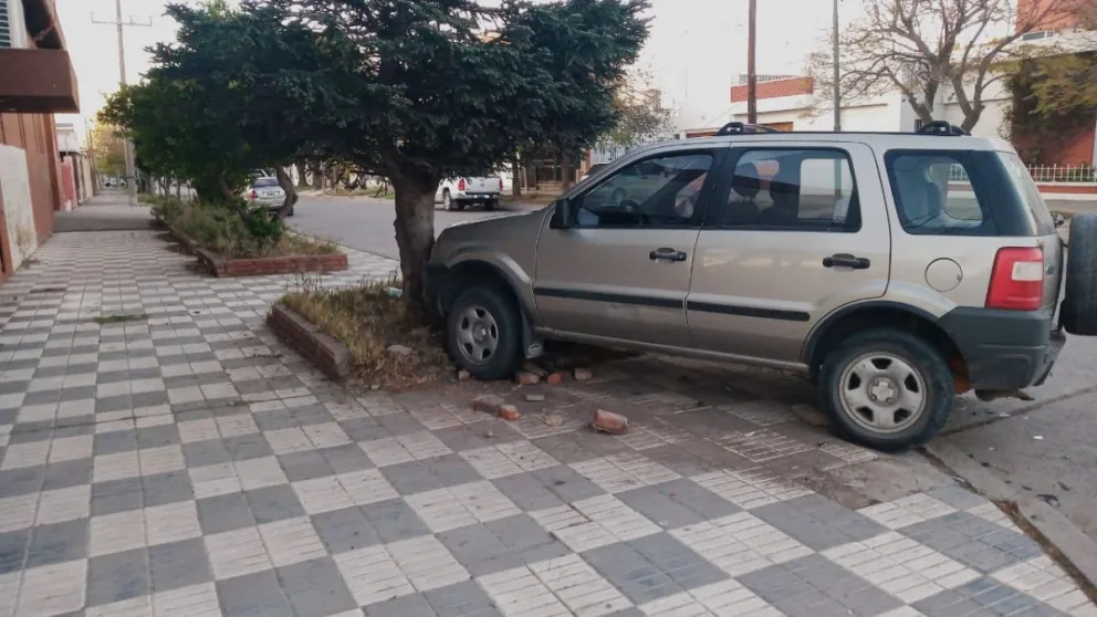 Golpazo en transitada esquina: un vehículo terminó contra un árbol