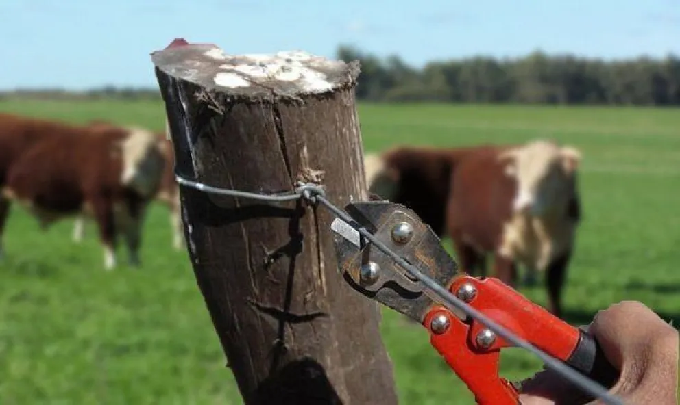 Seguridad rural: “el cuello de botella es al momento de aplicar la ley”