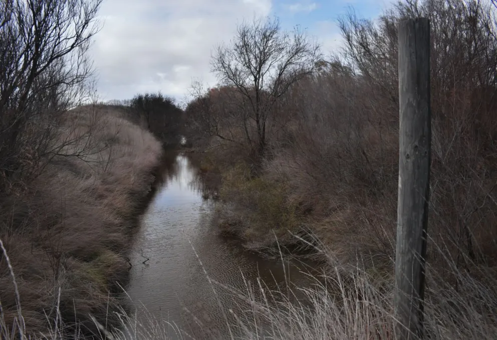 Desafíos de la agricultura y ganadería en la región 