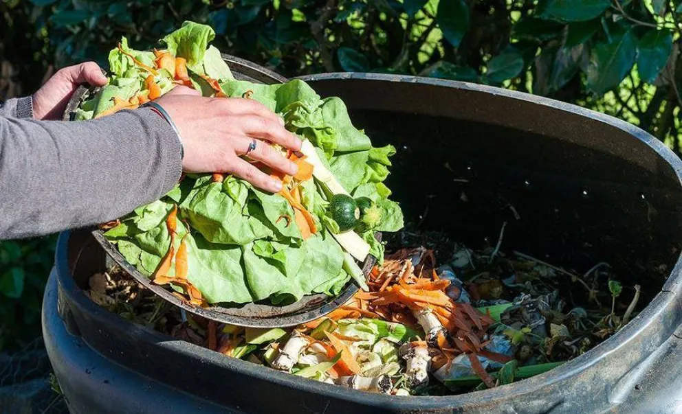 Habrá que aplicar economía de guerra para que no vaya al tacho de basura