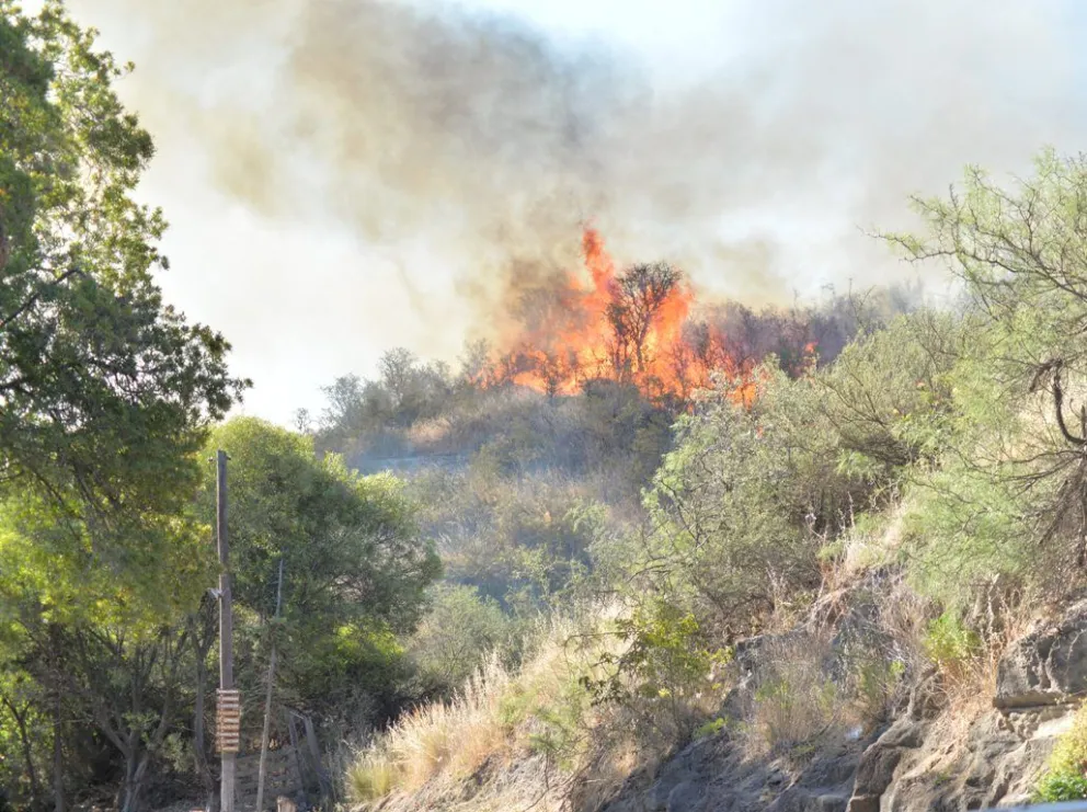 Preparan las mangueras por las dudas en Patagones frente a la sequía