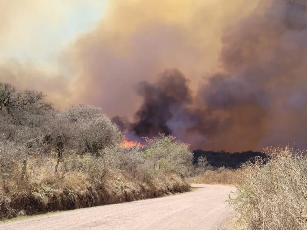 El INTA alerta sobre incendios en el noreste rionegrino