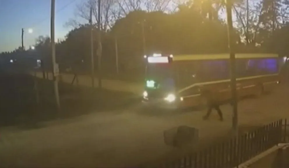 Video trágico: Corrió para alcanzar el colectivo pero el chofer la atropelló y murió