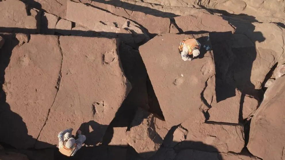 Encuentran huellas prehistóricas de un dinosaurio bípedo en Río Negro 