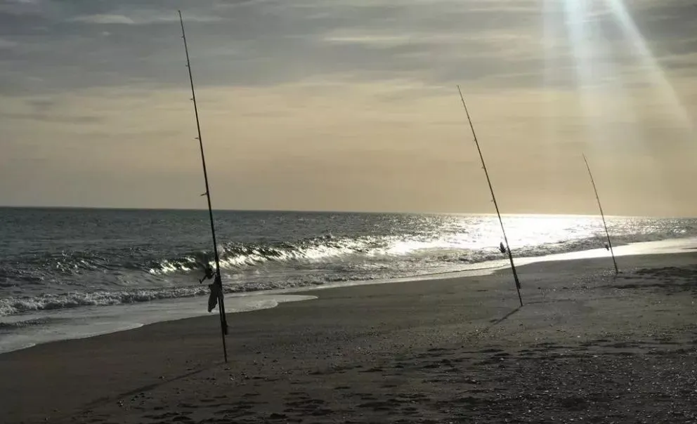 Conocé cómo estarán las mareas en los principales balnearios de la zona