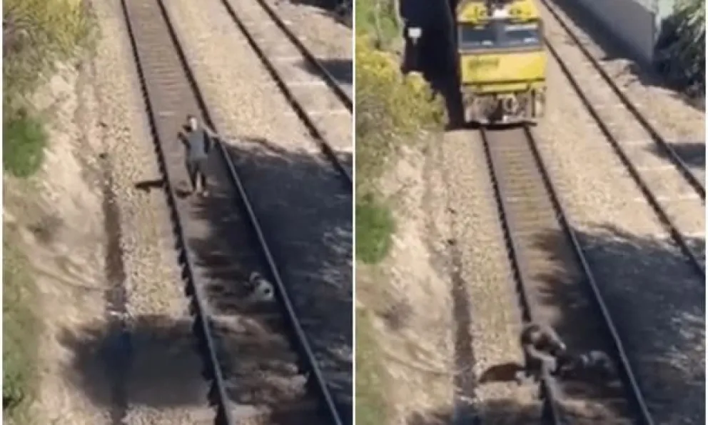 Video viral: Un hombre arriesgó su vida para salvar a un perro que estaba atado a las vías del tren