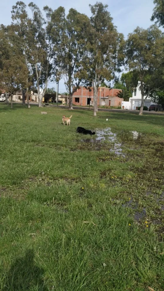 La plaza Luciana Peralta en el barrio Santa Clara fue incluida en esta modalidad. Foto NoticiasNet (archivo).