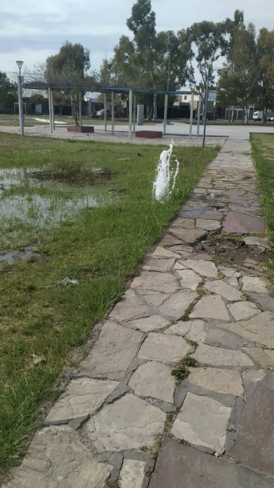 La calle Tierra del Fuego se transformó en un infierno por los hurtos