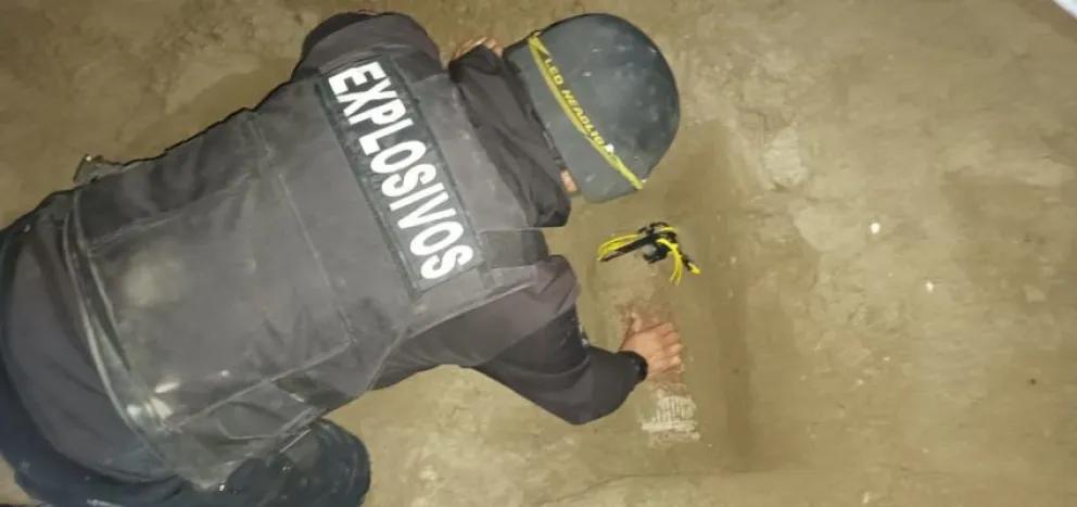 Otra vez tuvo que intervenir la Unidad de Neutralización de Bomberos de Viedma