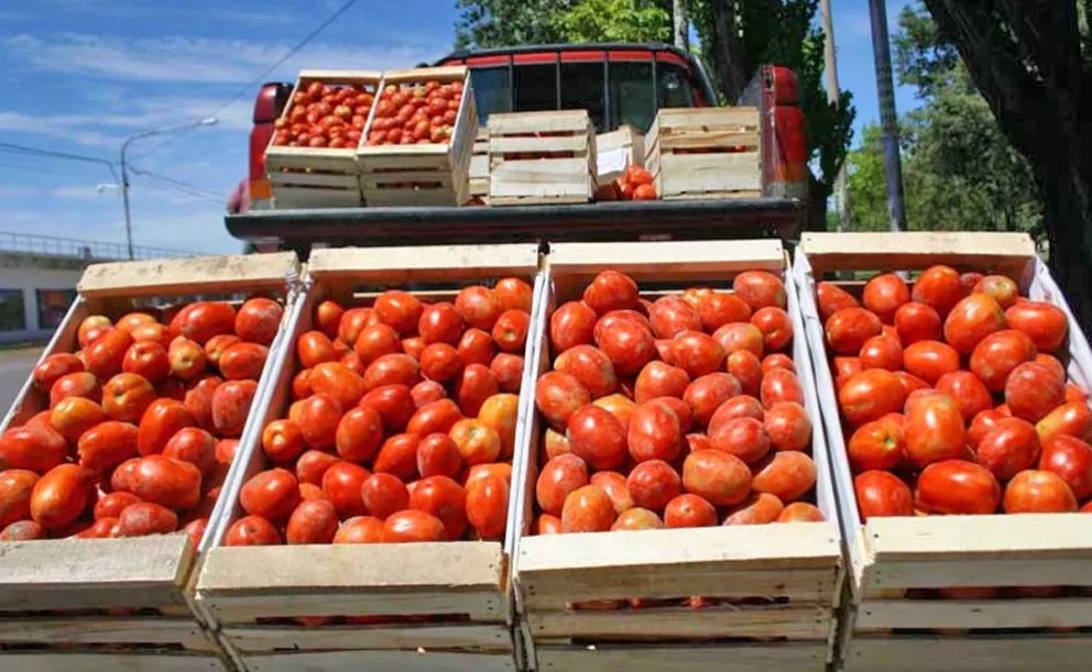 La canasta familiar no brinda ningún margen para jugar a los “tomatazos”