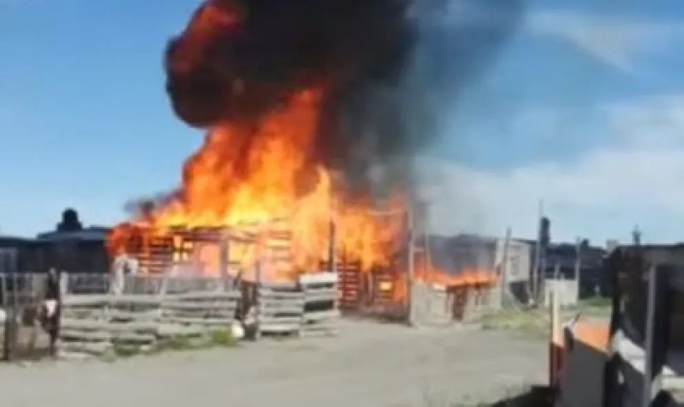 Video: Desesperación tras el incendio de una casilla
